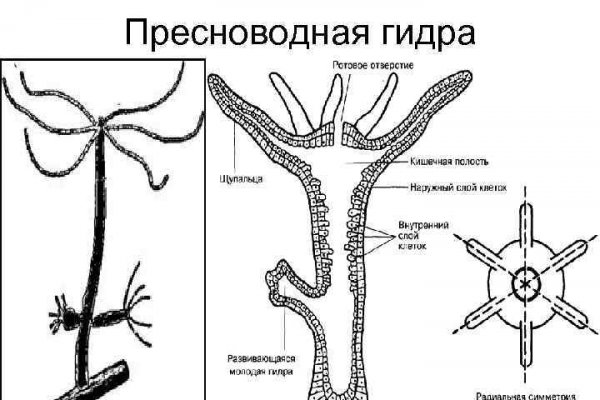 Кракен перейти