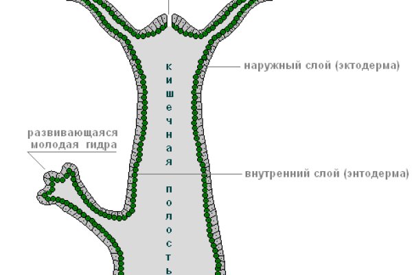 Вход в кракен даркнет